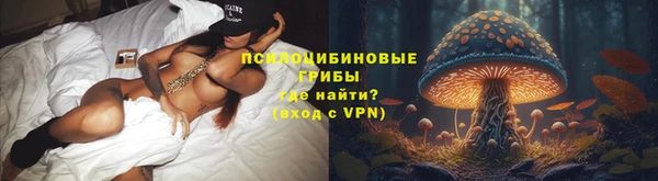 бошки Горнозаводск