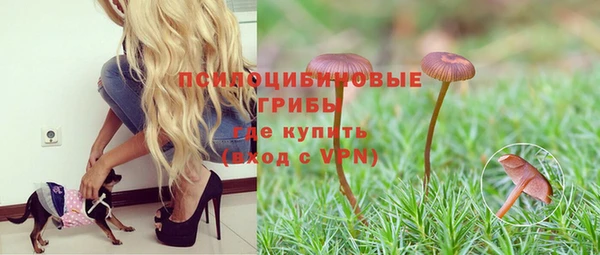 бошки Горнозаводск