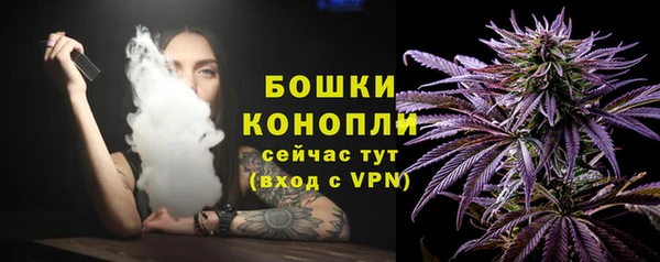 бошки Горнозаводск