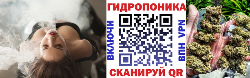 наркотики  Емва  Шишки марихуана семена 